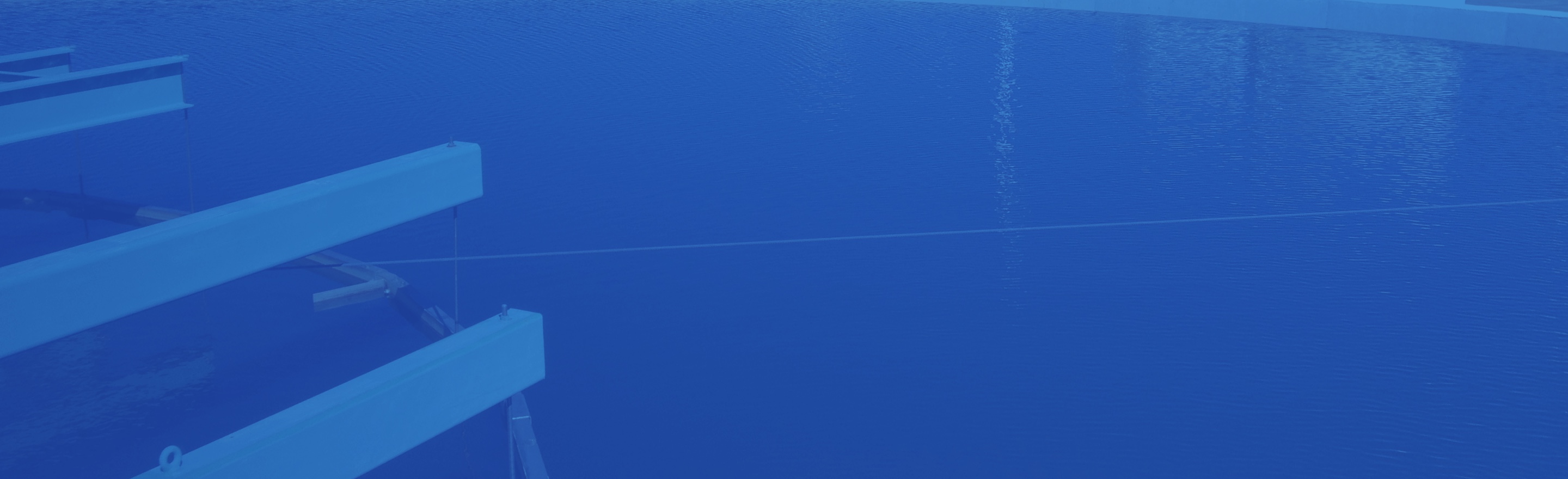 Placeholder 06 Placeholder 06